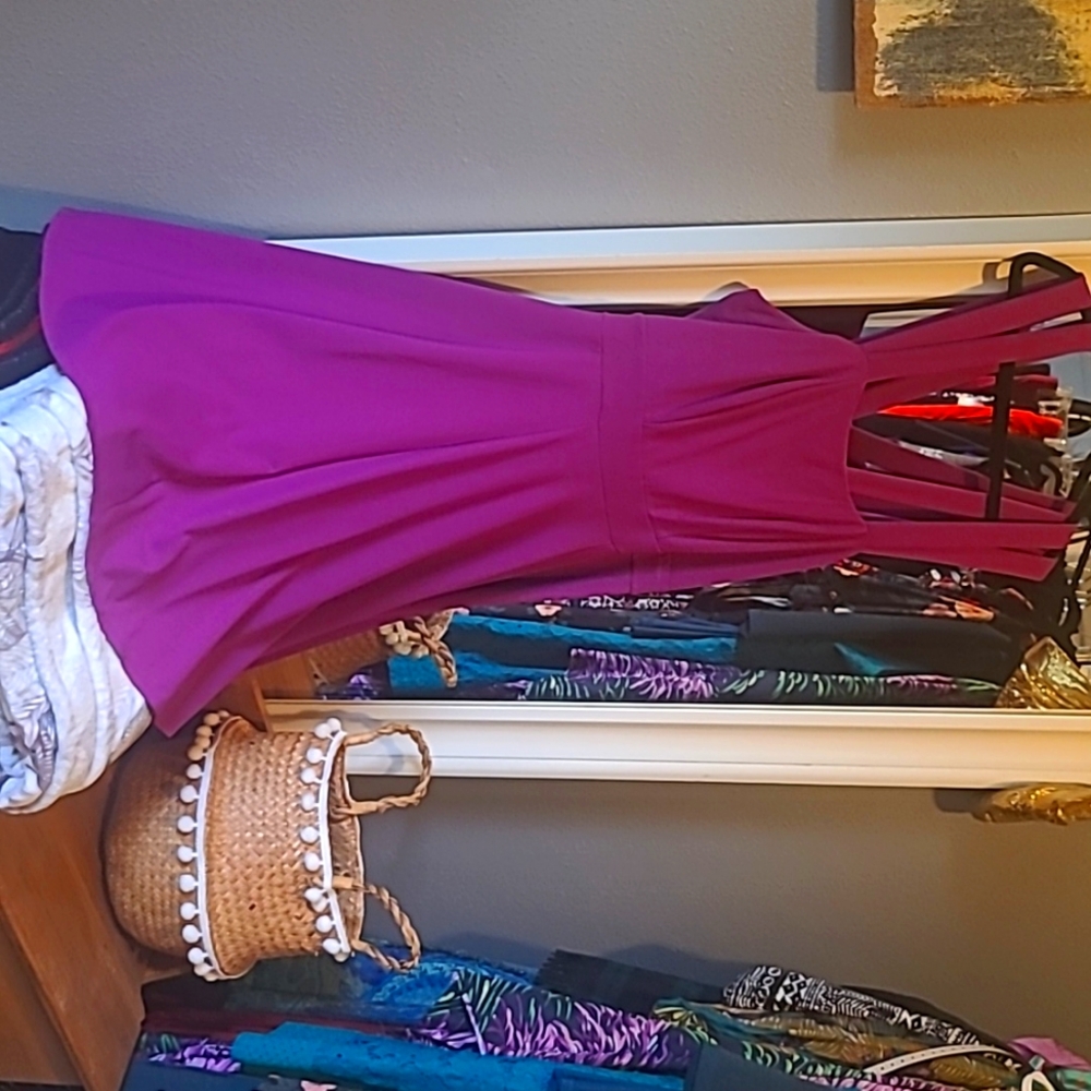 Magenta dress from Torrid. Size 14.